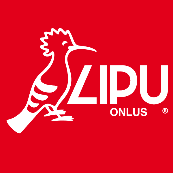 Lipu